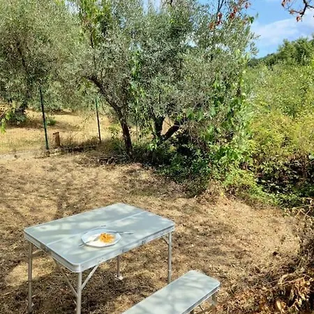 Casa Il Cecio *